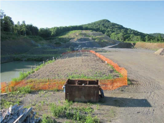 平成24年6月植樹